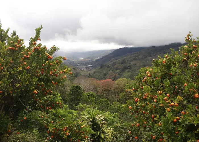 Casa Bartzis, Close To Orosi And Tapanti National Park