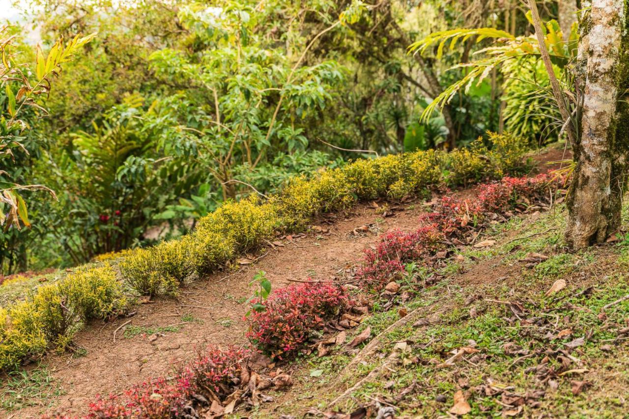 Casa Bartzis, Close To And Tapanti National Park * Orosi